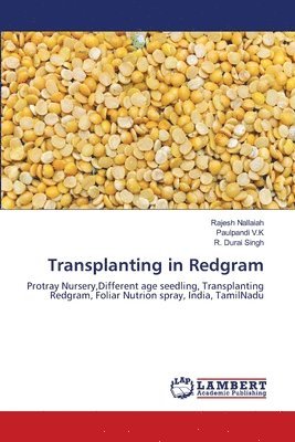 Transplanting in Redgram 1