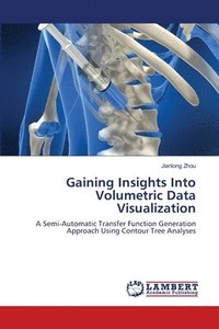 bokomslag Gaining Insights Into Volumetric Data Visualization