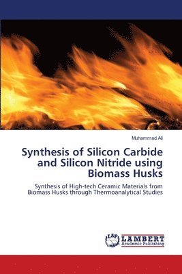 bokomslag Synthesis of Silicon Carbide and Silicon Nitride using Biomass Husks