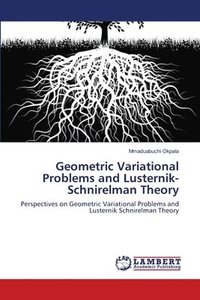 bokomslag Geometric Variational Problems and Lusternik-Schnirelman Theory