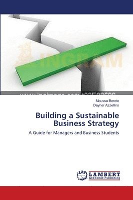 bokomslag Building a Sustainable Business Strategy