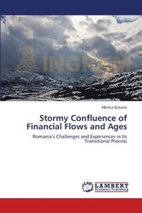 bokomslag Stormy Confluence of Financial Flows and Ages