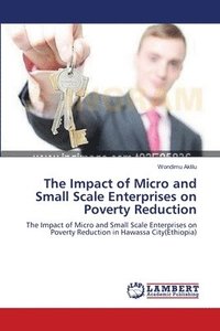 bokomslag The Impact of Micro and Small Scale Enterprises on Poverty Reduction