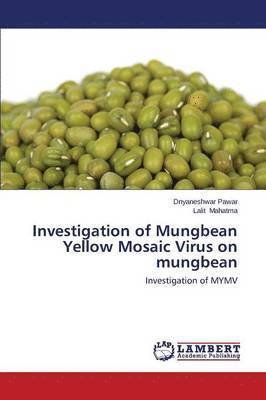 bokomslag Investigation of Mungbean Yellow Mosaic Virus on Mungbean