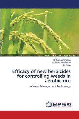 Efficacy of new herbicides for controlling weeds in aerobic rice 1