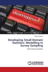 bokomslag Developing Small Domain Statistics