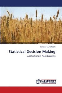 bokomslag Statistical Decision Making