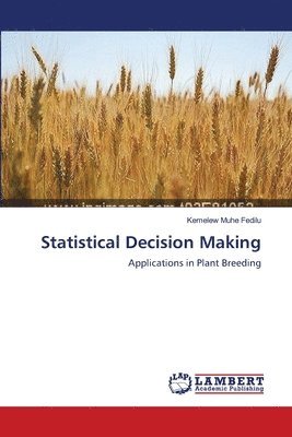 Statistical Decision Making 1