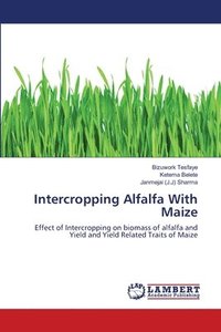 bokomslag Intercropping Alfalfa With Maize