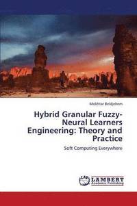 bokomslag Hybrid Granular Fuzzy-Neural Learners Engineering