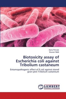 bokomslag Biotoxicity assay of Escherichia coli against Tribolium castaneum