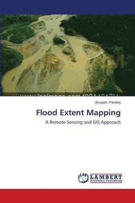 Flood Extent Mapping 1
