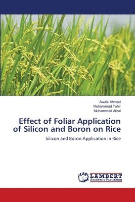 Effect of Foliar Application of Silicon and Boron on Rice 1