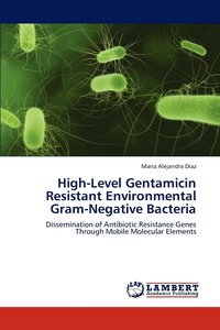 bokomslag High-Level Gentamicin Resistant Environmental Gram-Negative Bacteria