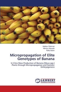 bokomslag Micropropagation of Elite Genotypes of Banana