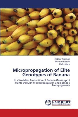 Micropropagation of Elite Genotypes of Banana 1