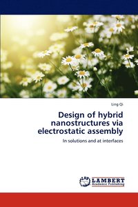 bokomslag Design of Hybrid Nanostructures Via Electrostatic Assembly