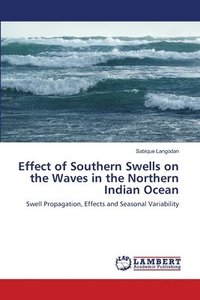 bokomslag Effect of Southern Swells on the Waves in the Northern Indian Ocean