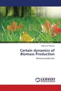 bokomslag Certain dynamics of Biomass Production