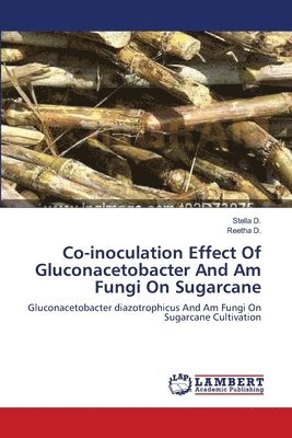 bokomslag Co-inoculation Effect Of Gluconacetobacter And Am Fungi On Sugarcane