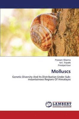 Molluscs 1