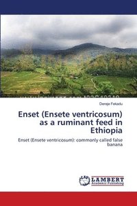 bokomslag Enset (Ensete ventricosum) as a ruminant feed in Ethiopia