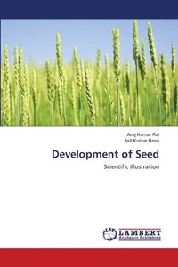 bokomslag Development of Seed