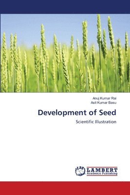 Development of Seed 1