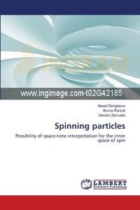 bokomslag Spinning particles