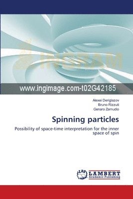 Spinning particles 1