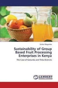 bokomslag Sustainability of Group Based Fruit Processing Enterprises in Kenya