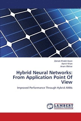 Hybrid Neural Networks 1