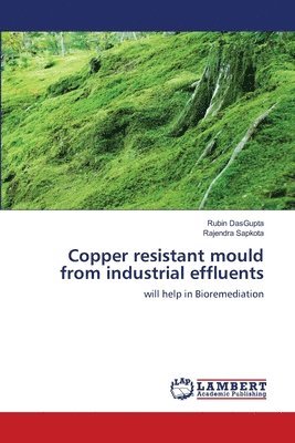 Copper resistant mould from industrial effluents 1