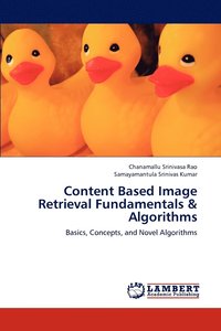 bokomslag Content Based Image Retrieval Fundamentals & Algorithms