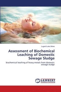 bokomslag Assessment of Biochemical Leaching of Domestic Sewage Sludge