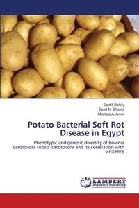 bokomslag Potato Bacterial Soft Rot Disease in Egypt