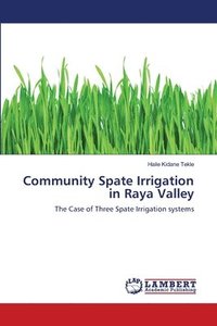 bokomslag Community Spate Irrigation in Raya Valley