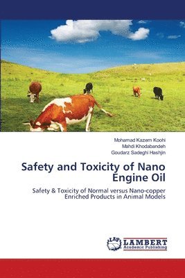 Safety and Toxicity of Nano Engine Oil 1