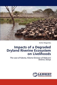 bokomslag Impacts of a Degraded Dryland Riverine Ecosystem on Livelihoods