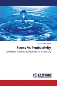bokomslag Stress Vs Productivity