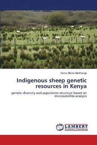 bokomslag Indigenous sheep genetic resources in Kenya