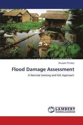 bokomslag Flood Damage Assessment