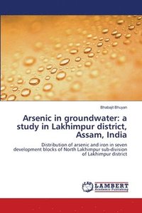 bokomslag Arsenic in groundwater