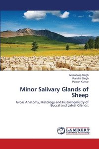 bokomslag Minor Salivary Glands of Sheep