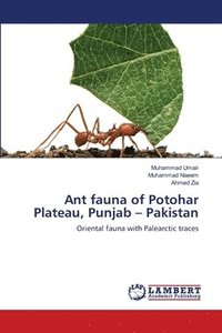 bokomslag Ant fauna of Potohar Plateau, Punjab - Pakistan