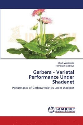 Gerbera - Varietal Performance Under Shadenet 1