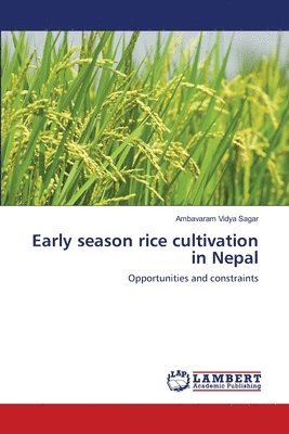 Early season rice cultivation in Nepal 1