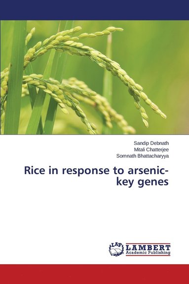 bokomslag Rice in Response to Arsenic-Key Genes