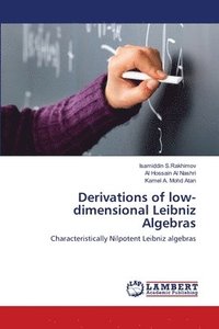 bokomslag Derivations of low-dimensional Leibniz Algebras