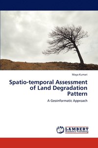 bokomslag Spatio-temporal Assessment of Land Degradation Pattern